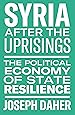 Syria After the Uprisings: The Political Economy of State Resilience