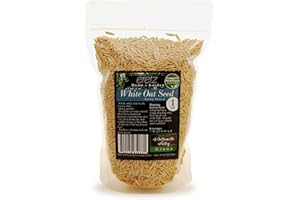 White Oat Seed by Eretz - CHOOSE SIZE! Oregon Grown, State Certified Oat Grains- No Fillers, No Coatings, No Weed Seeds (1lb)