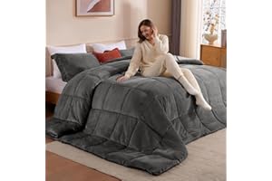 STWIENER Alaskan King Comforter Duvet Insert 120"x132" - Plush Fluffy Heavy Winter Flannel, Extra Large Super King Size Breathable Microfiber with 8 Corner Tabs, All Seasons Warm Bedding (Grey)