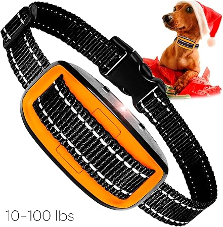 shock collar for dachshund