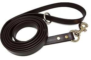 Jim Hodges Dog Training Gummy Dog Leash, Biothane, Dog Training Leash, Waterproof, Weatherproof, 6 Foot Length for Small, Medium & Large Dogs or Puppies, Various Sizes & Colors