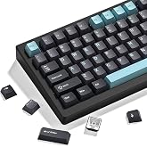dagaladoo Double Shot PBT keycaps Set, Cherry Profile Keyboard Keycaps | Retro key caps full size,Custom keycaps for 60% 65% 75% 100% Cherry-MX switch Mechanical Keyboard(Grey/Blue)