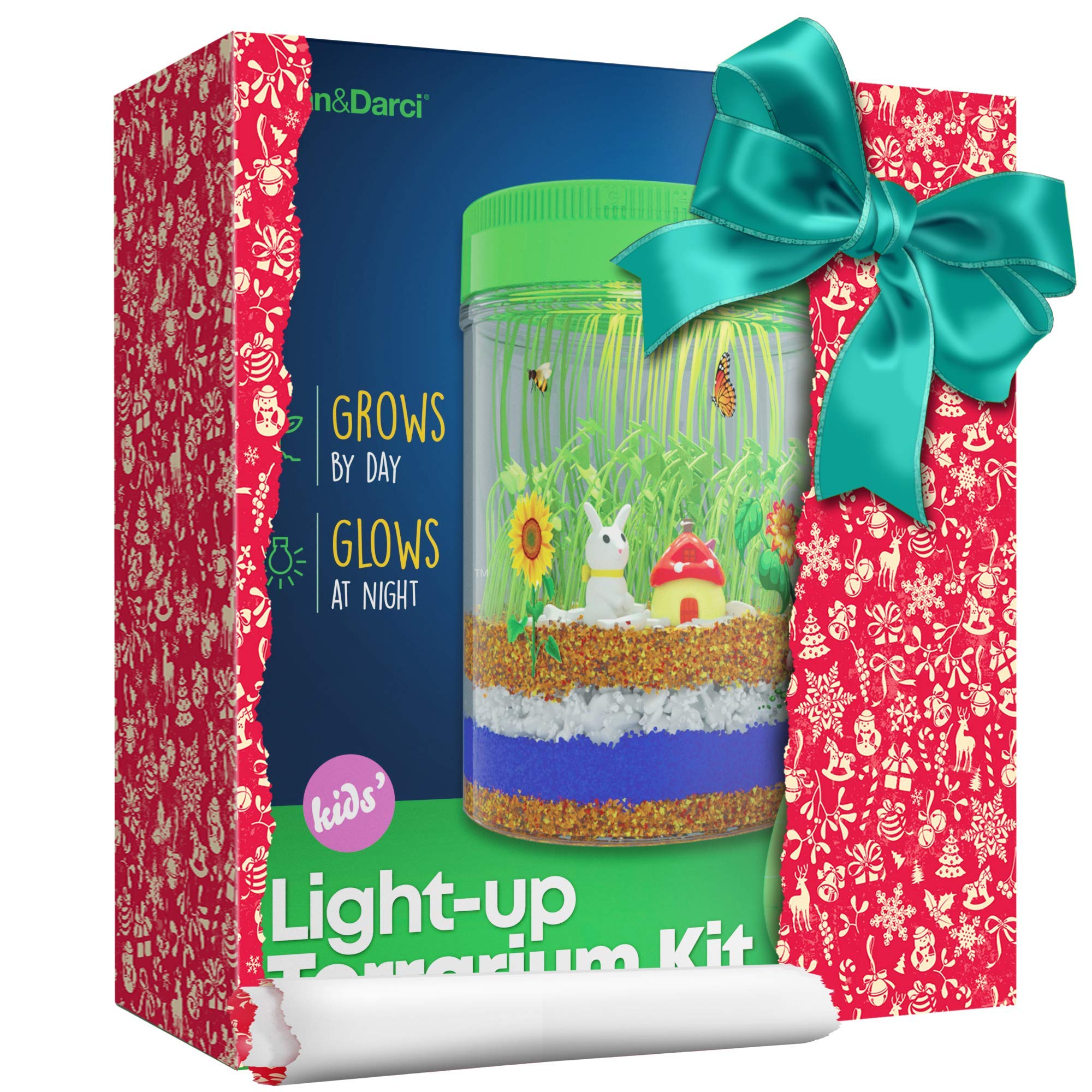 Lightup Terrarium Kit for Kids with LED Light on Lid Create Your Own