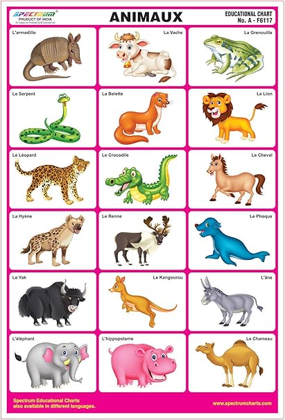 Amazon.com: Spectrum French Language Animals Name Laminated Pre-Primary