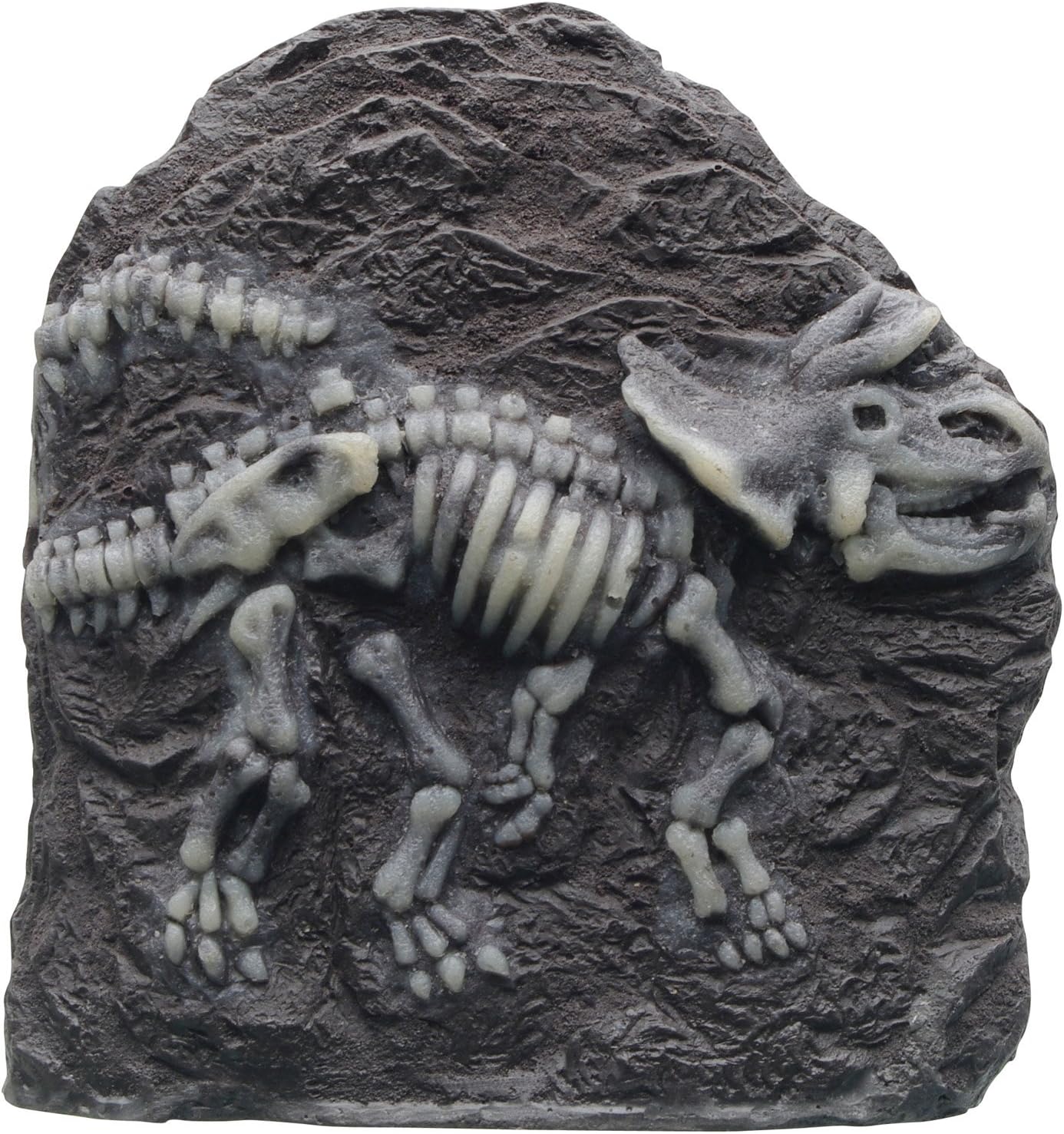 Marina Triceratops Fossil Ornament for Aquarium