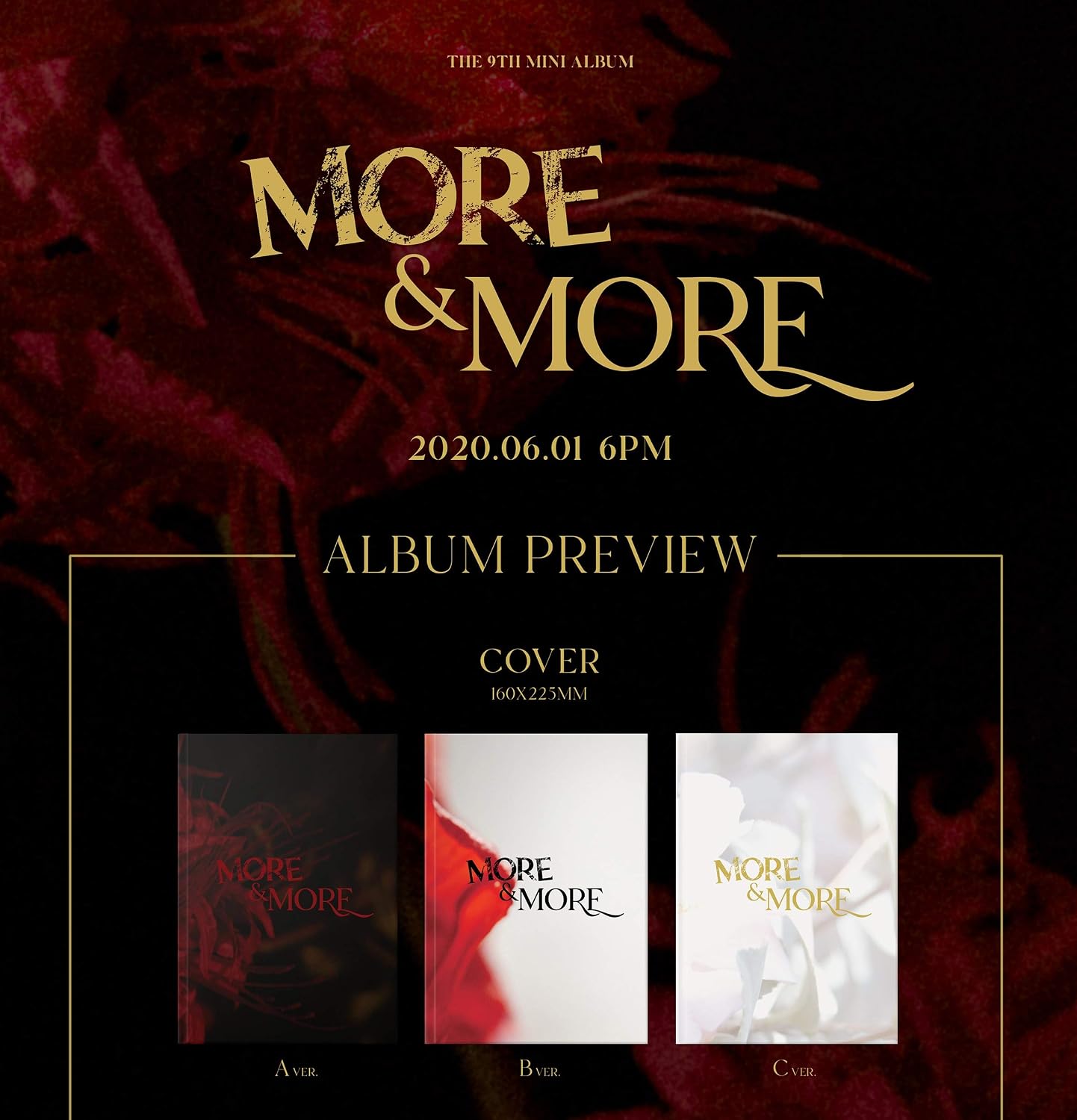 More & More - Image 3