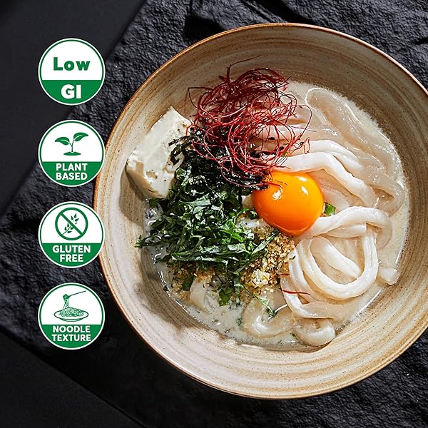 YUHO ORGANIC KONJAC SHIRATAKI UDON NOODLE, 10 PACKS, CLOSER TO PASTA GLUTEN FREE LOW CARB HEALTH NOODLES PLANT BASED VEGAN FOR QUICK MEALS, 56.5 OZ