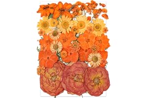 14 Types 37pcs Orange Dried Pressed Flowers for Resin Molds,YouthBro Real Natural Pressed Flowers for DIY Art Crafts,Candle Making, Nails Décor,Soap Making, Phone Case