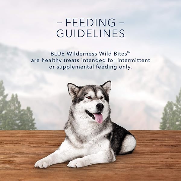 BLUE BUFFALO WILDERNESS TRAIL WILD BITES HIGH PROTEIN GRAIN FREE SOFT MOIST SALMON DOG TREATS