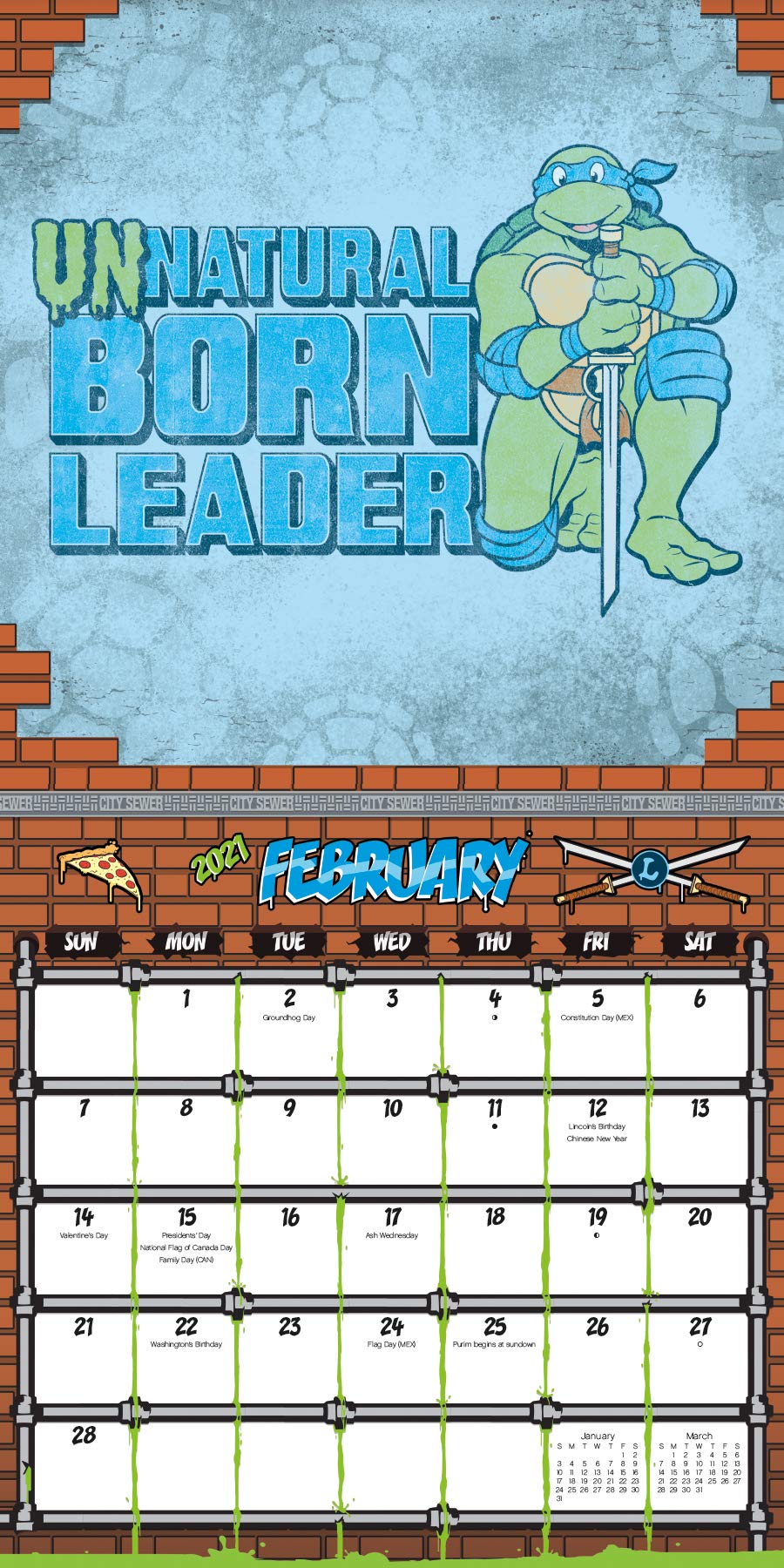 2021 Teenage Mutant Ninja Turtles Wall Calendar: Trends International, Trends International: 0057668213280: Books - Amazon.ca