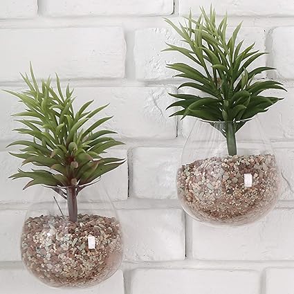 Vases Set Of 3 Wall Bubble Terrariums Indoor Plants Holders Wall