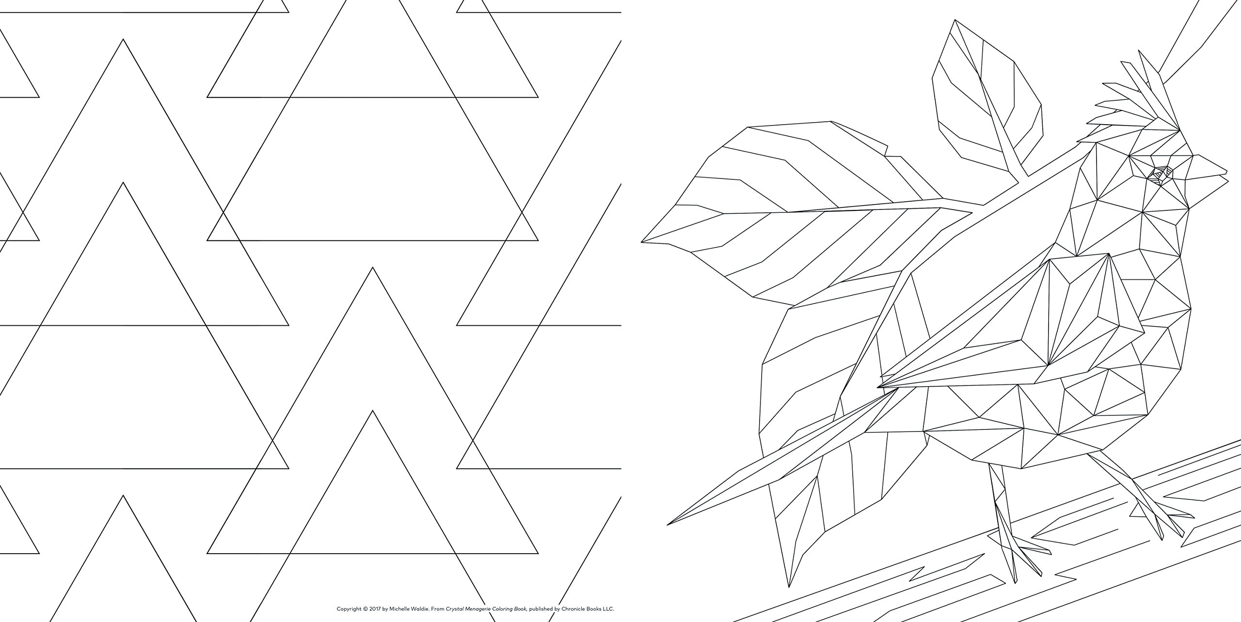 Download Amazon Com Crystal Menagerie Coloring Book Geometric Animals To Color And Display Adult Coloring Book Spiritual Gifts Calming Coloring Book 9781452160658 Waldie Michelle Books