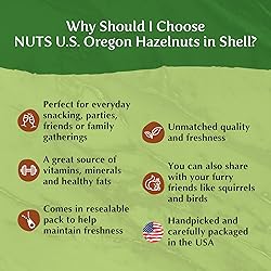 NUTS U.S. - Oregon Hazelnuts In shell | Whole, Raw