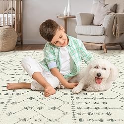 SERISSA Washable Area Rug,3x5 Soft Non Slip Indoor