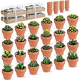 Shihanee 24 Pack Succulent Candles with Terracotta Pot Novelty Handmade Stylish Plant Candles for Baby Shower Birthday Wedding Party Favors Home Decor Valentine Gift