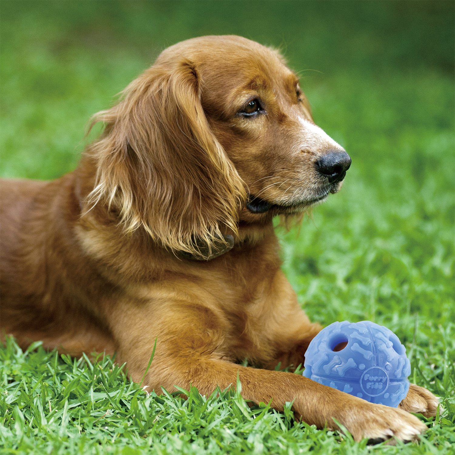 Hills Ideal Balance Slim And Healthy Natural Chicken And Barley