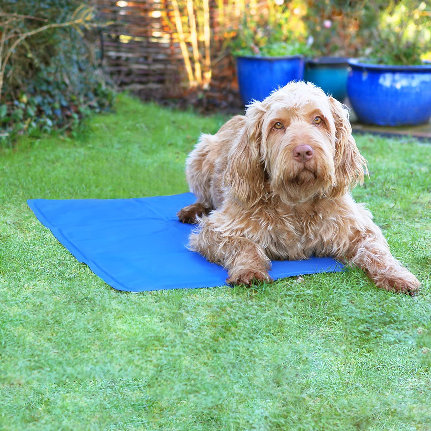 ACE Deluxe Dog Chiilax Cool Pad Large