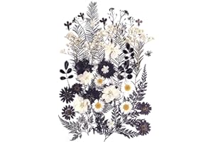 AHTONG 12 Types 48PCS Real Dried Pressed Flowers for Resin, Leaf Plant Herbarium for Jewelry Making Craft (Black and White)