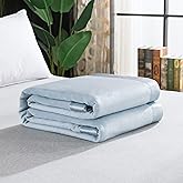 EP Mode Luxury Mulberry Silk Blanket with Silk Charmeuse Border (Baby Blue, Twin 66" x 88")