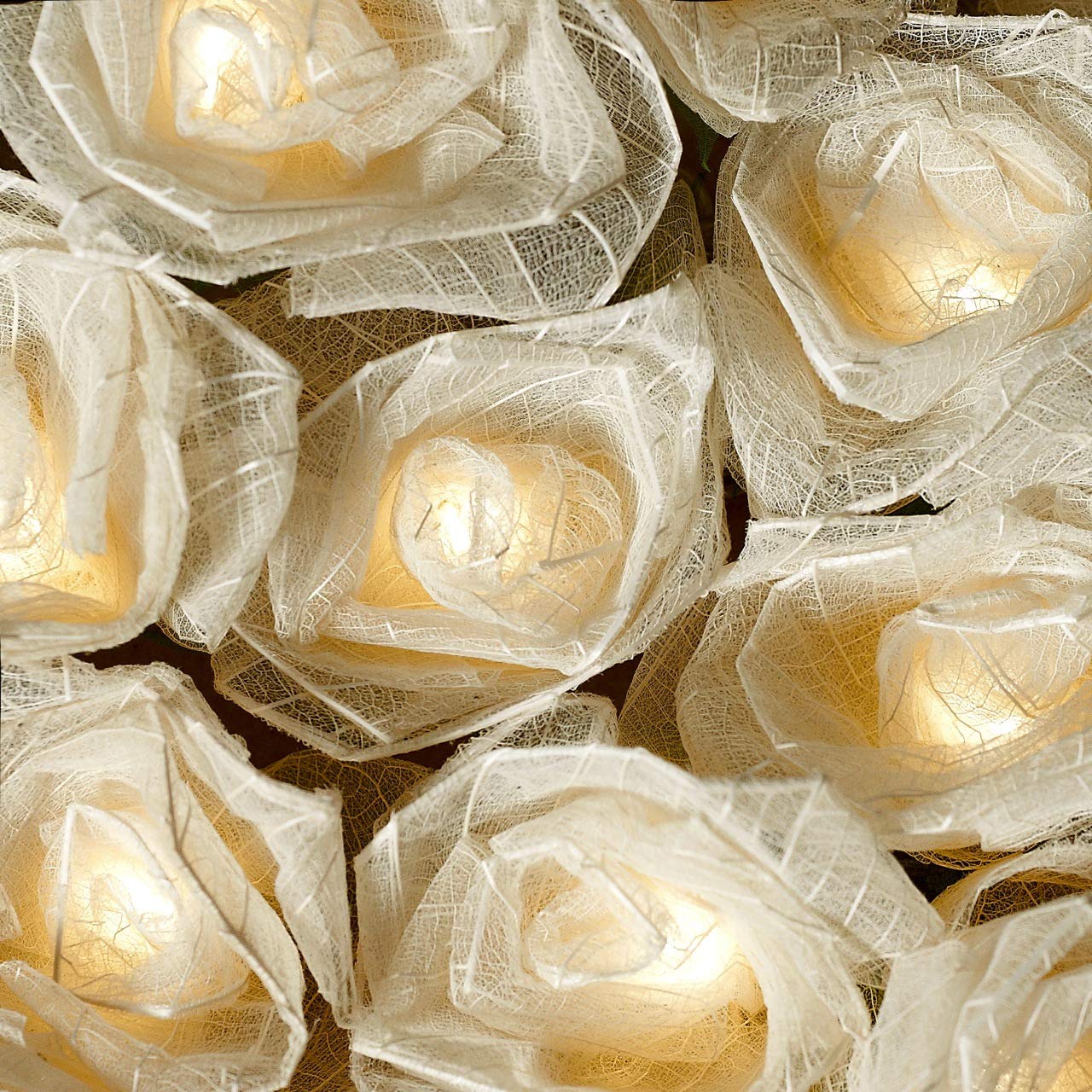 Blaze On Cabbage Rose Fairy Lights (Cream) – 20 Warm White LED Handcrafted Roses – USB Powered with UK 3-Pin Adapter – Indoor Decorative String Lights