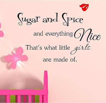 Amazon Com Sugar And Spice And Everything Nice That S What