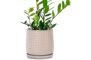 D'vine Dev 6 Inch Ceramic Beaded Stoneware Planter Pot - Flower Pot with Drainage Holes and Saucers for Indoor Succulent Plants or Flowers, Light Brown, 27-C-X-4