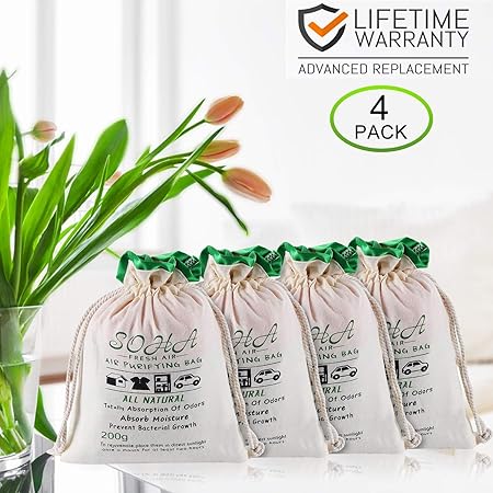 Purificación de aire, carbón de bambú, bolsa de carbón vegetal que ...