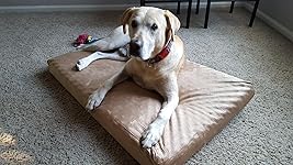 Review Image by CrumbCats