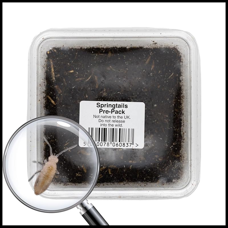 livefoods4u Live Springtails for Terrariums 1 Tub Bioactive Clean Up Crew