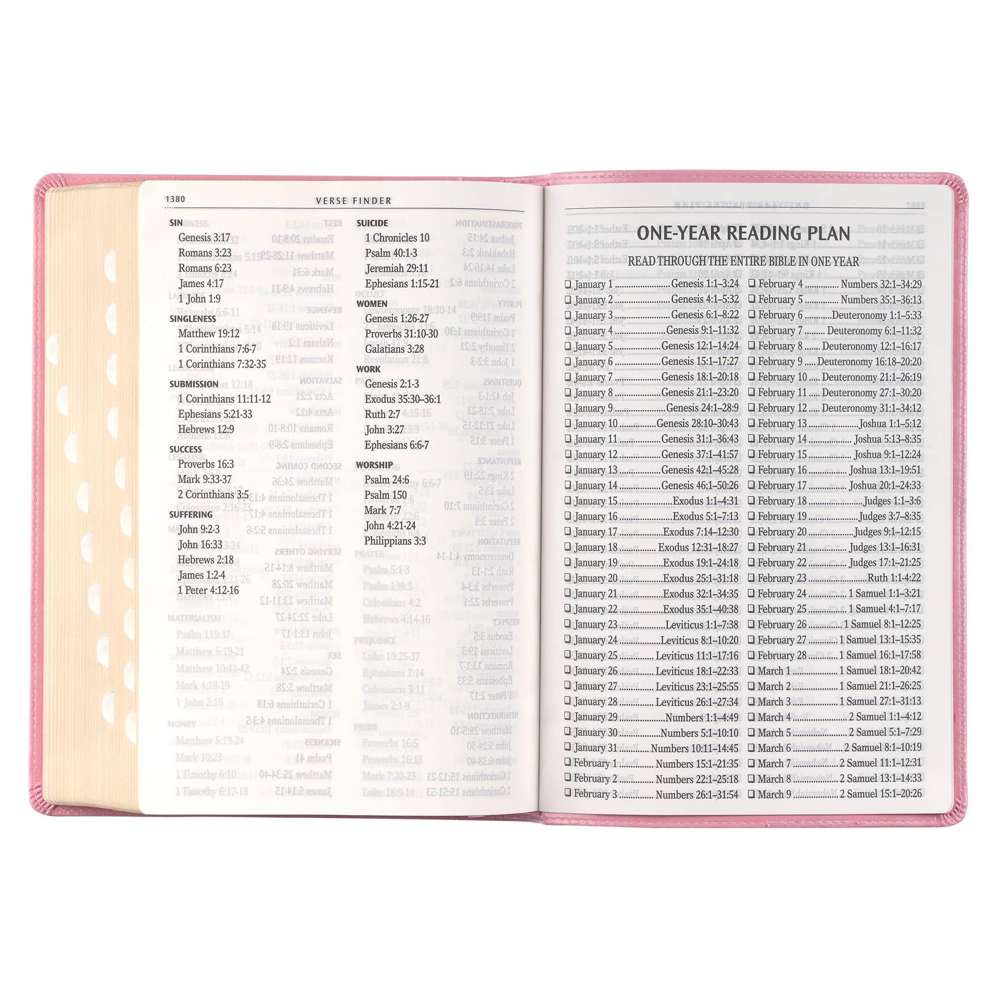KJV Holy Bible, Giant Print Full-size Faux Leather Red Letter Edition - Thumb Index & Ribbon Marker, King James Version, Pink (KJV Full Size GP Editions)