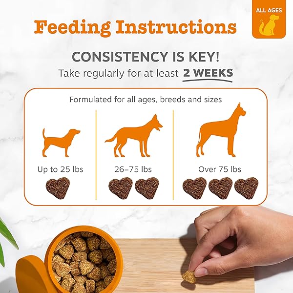 ZESTY PAWS OMEGA 3 ALASKAN FISH OIL CHEW TREATS FOR DOGS – WITH ALASKOMEGA FOR EPA & DHA FATTY ACIDS – HIP & JOINT SUPPORT + SKIN & COAT CHICKEN FLAVOR (90 SOFT CHEWS)