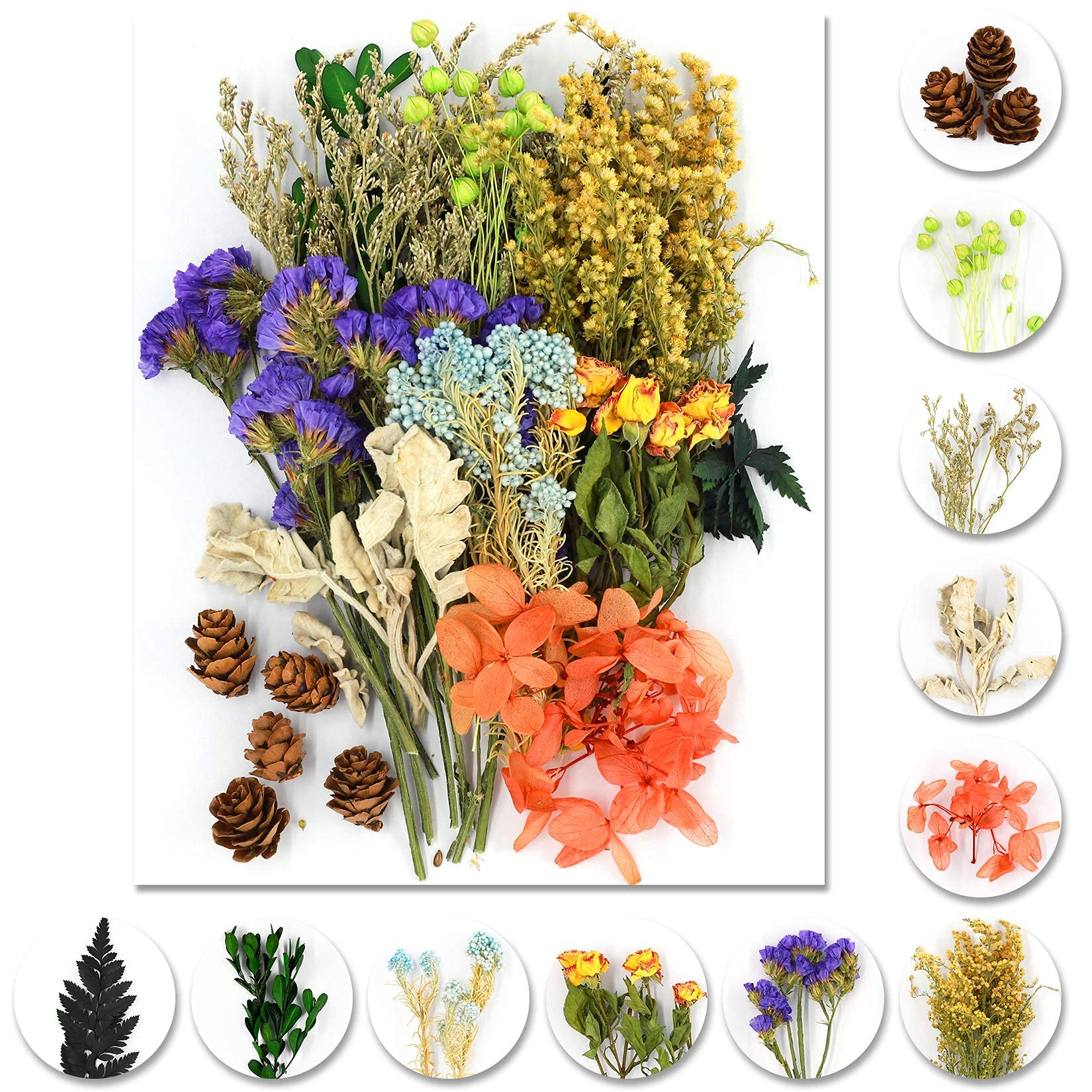 iDattel Dried Flowers Set - Multiple Natural Flowers for DIY Arts & Crafts, Resin Jewelry, Cards (Green + Purple)