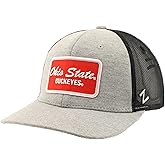 ZHATS Standard NCAA Officially Licensed Trucker Hat Carson Patch Brick Heather, One Size