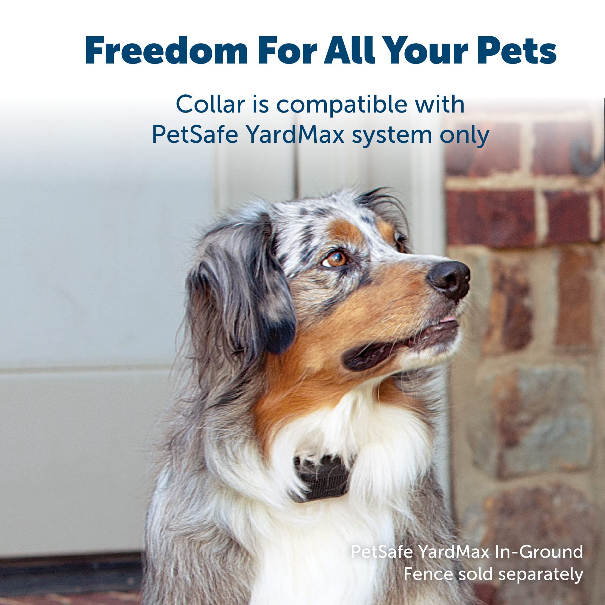 PetSafe YardMax Dog Fence Collar, Electric Dog Containment Waterproof Collar, Fits Dogs 5 lb & Up, Adjusts to Fit Neck Sizes 6-28 in, (Black) - from The Parent Company of Invisible Fence Brand