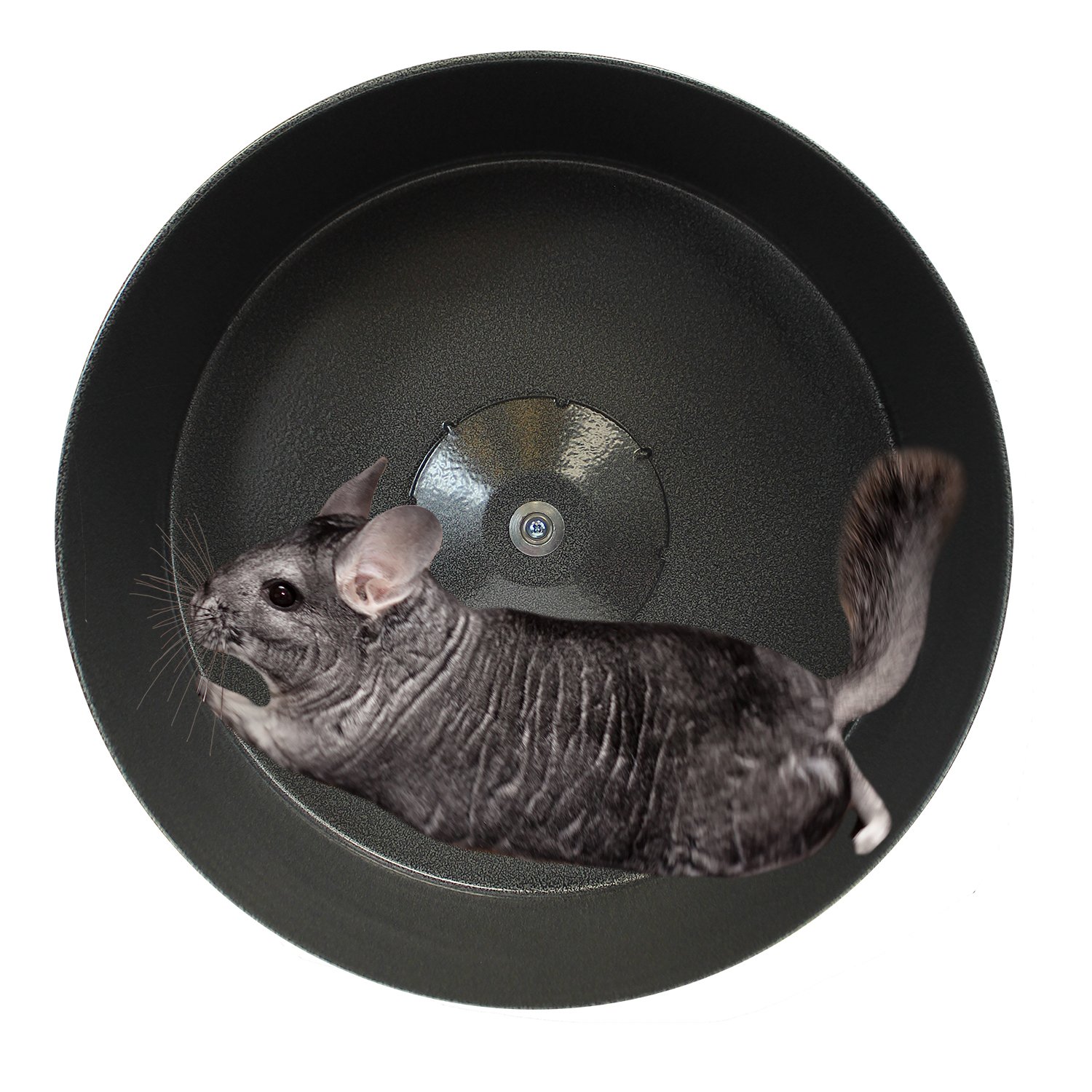 Pet Supplies AllMetal Chinchilla Wheel Exotic Nutrition 15 ChinSprint