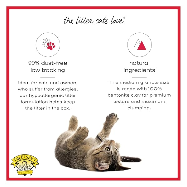 DR. ELSEY’S® CAT ATTRACT® CLUMPING CLAY CAT LITTER 18-LB. BAG
