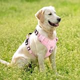 HEELE No Pull Dog Harness Medium Reflective Adjustable Front Back Leash view 6
