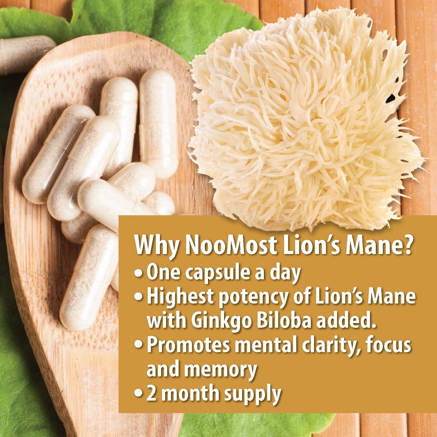 Organic Lions Mane Mushroom Capsules 5400mg, Ginkgo Biloba 120mg - Lion's Mane Ginko Biloba Memory Supplement for Nootropic Brain & Mental Clarity, Ginko Smart Maximum Focus and Memory, 2-Month Supply: Health & Personal Care