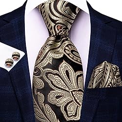 Hi-Tie 3 Pcs Gift Box Mens Tie Set Necktie with