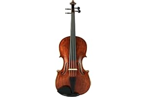 D'Luca PD02-16 16-Inch Orchestral Series Handmade Viola Outfit