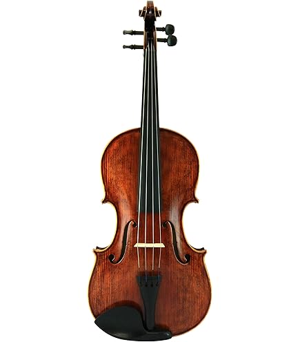 Amazon.com: Cremona SVA-500 Premier Artist Viola Outfit – 16