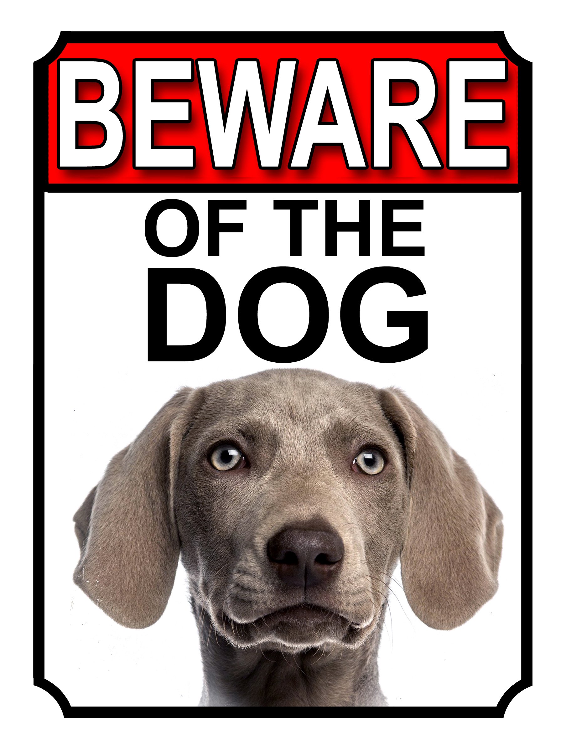 Shawprint Limited BEWARE OF THE DOG METAL GATE SIGN WEIMARANER 200MM X 150MM (1158H1)
