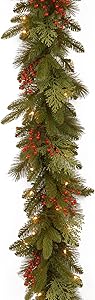 National Tree Company Company 'Feel Real' Pre-lit Artificial Christmas Garland | Flocked with Mixed Decorations and White Lights | Classical Collection, 9 ft