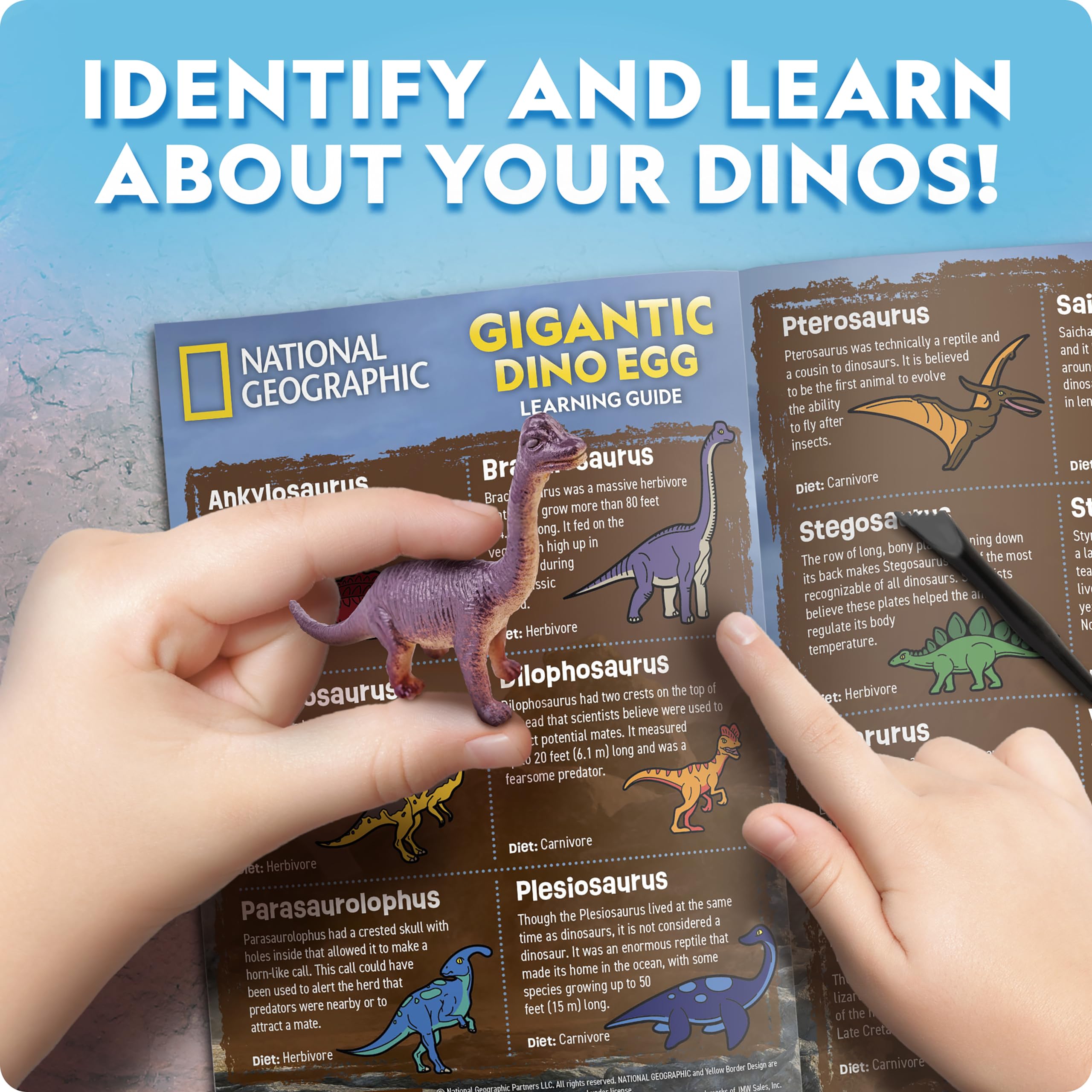 NATIONAL GEOGRAPHIC Jumbo Dinosaur Egg Dig Kit - Dig Out 12 Dino Figures & Replica T. Rex Tooth from Giant 6