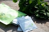 Scott&Co Herb Seed Variety Pack UK Planting Basil Chives Parsley Coriander view 6