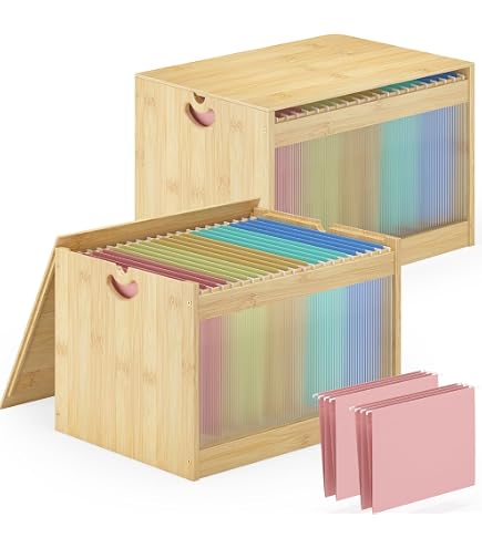 Amazon.com: Hanging File Box Organizer for Letter Size 2 Pack