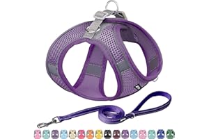 AIITLE No Pull Dog Harness and Leash Set, Step in Adjustable Dog Harness with Padded Vest for All Weather, Dog Leash with Soft Padded Handle, Easy to Put on Small and Medium Dogs Pure Purple S