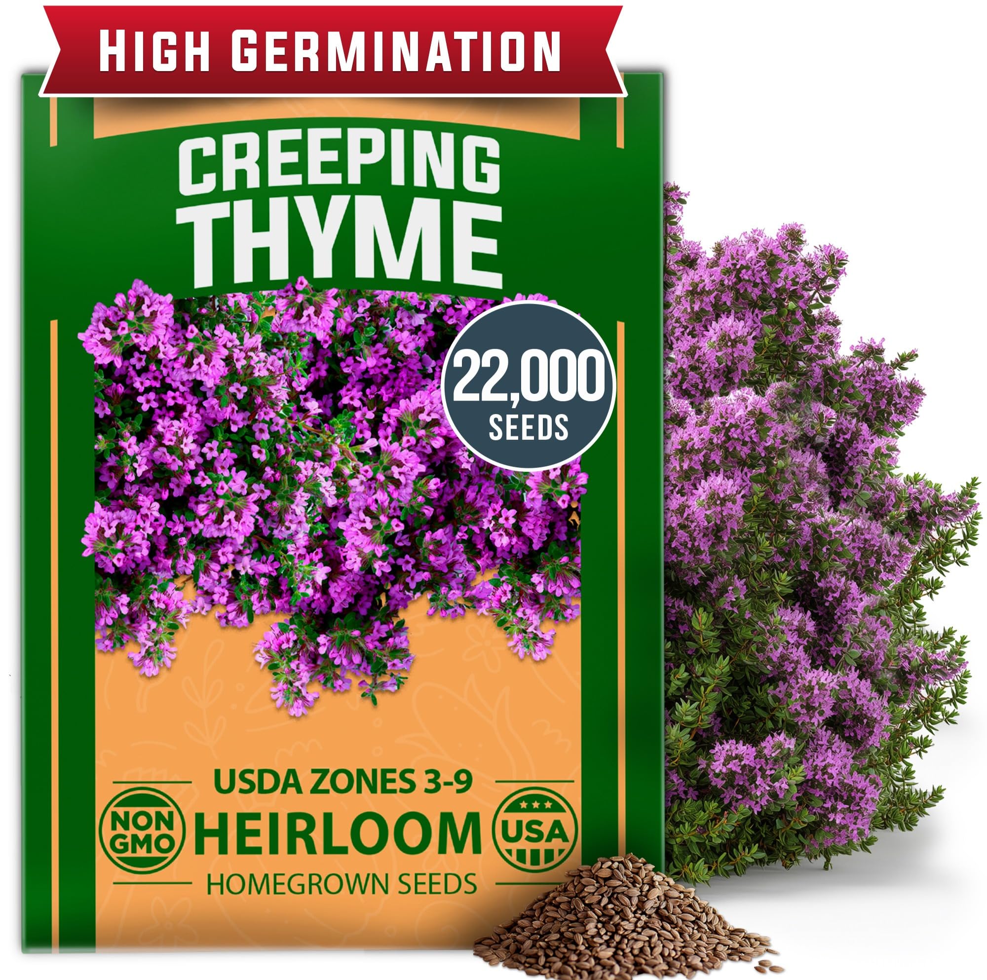 Photo 1 of HOME GROWN Purple Creeping Thyme Seeds – Non-GMO Ground Cover Flowers – 22000+ Edible Herb Seeds for Planting Lawns & Paths – 3g Perennial Thymus serpyllum