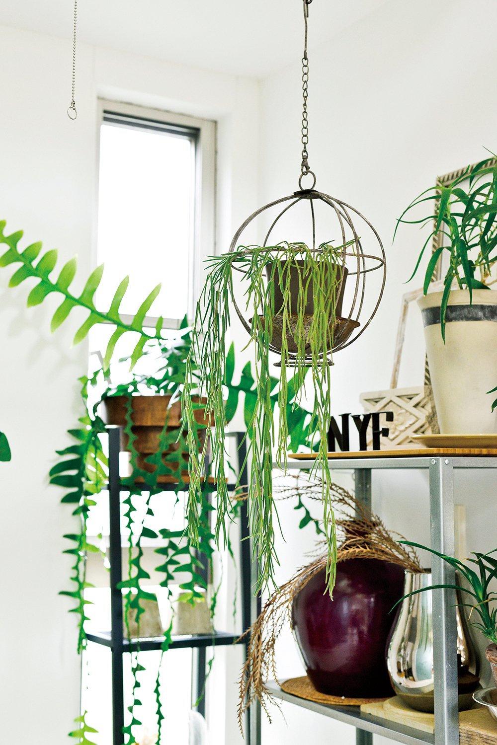 Sence Up Lifeシリーズ 多肉 エアプランツ アレンジbook Sense Up Lifeシリーズ ナチュラルライフ編集部 本 通販 Amazon