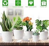 CSYY 6-Pack Plant Pots Indoor Outdoor Self Watering Tray view 6